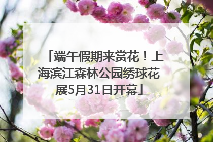 端午假期来赏花！上海滨江森林公园绣球花展5月31日开幕