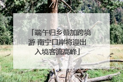 端午归乡叠加跨境游 南宁口岸将迎出入境客流高峰