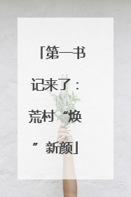 第一书记来了：荒村“焕”新颜