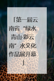 第一届云南省“绿水青山·彩云南”水文化作品展开幕
