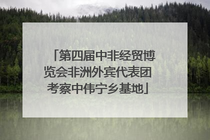 第四届中非经贸博览会非洲外宾代表团考察中伟宁乡基地