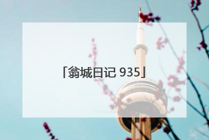 翁城日记 935