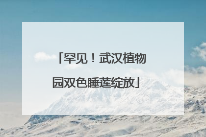 罕见！武汉植物园双色睡莲绽放
