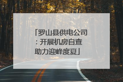 罗山县供电公司：开展机房自查 助力迎峰度夏