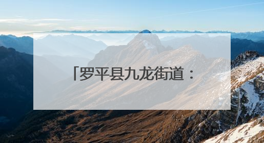 罗平县九龙街道：玉米制种“苗”绘产业兴农新画卷