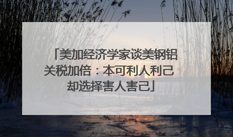 美加经济学家谈美钢铝关税加倍：本可利人利己 却选择害人害己