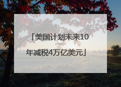 美国计划未来10年减税4万亿美元
