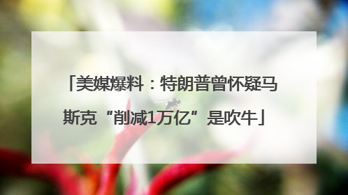美媒爆料：特朗普曾怀疑马斯克“削减1万亿”是吹牛