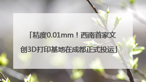 精度0.01mm！西南首家文创3D打印基地在成都正式投运