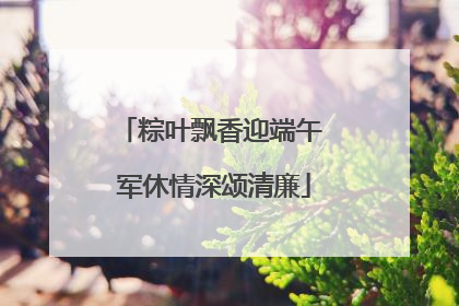 粽叶飘香迎端午 军休情深颂清廉