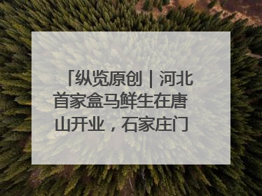 纵览原创｜河北首家盒马鲜生在唐山开业，石家庄门店预计8月开业