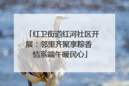 红卫街道红河社区开展：邻里齐聚享粽香 情系端午暖民心