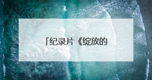 纪录片《绽放的花儿》：共绘融合发展时代画卷