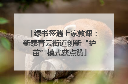绿书签遇上家教课：新泰青云街道创新“护苗”模式获点赞