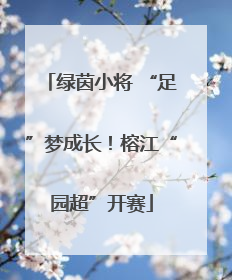 绿茵小将 “足”梦成长！榕江“园超”开赛