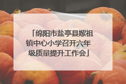 绵阳市盐亭县嫘祖镇中心小学召开六年级质量提升工作会