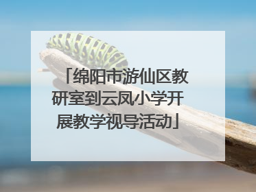 绵阳市游仙区教研室到云凤小学开展教学视导活动