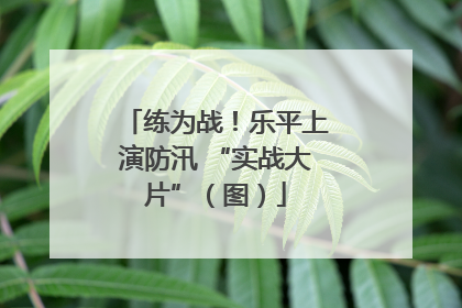 练为战！乐平上演防汛 “实战大片”（图）