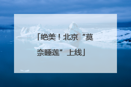 绝美！北京“莫奈睡莲”上线