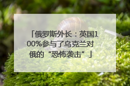 俄罗斯外长：英国100%参与了乌克兰对俄的“恐怖袭击”