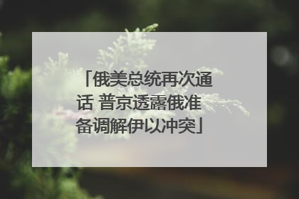 俄美总统再次通话 普京透露俄准备调解伊以冲突