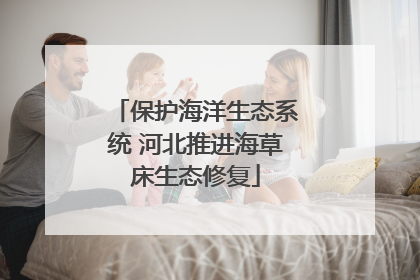 保护海洋生态系统 河北推进海草床生态修复