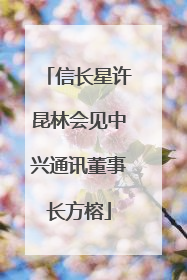 信长星许昆林会见中兴通讯董事长方榕
