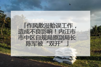 作风散漫贻误工作，造成不良影响！内江市市中区自规局原副局长陈军被“双开”