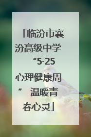 临汾市襄汾高级中学“5·25心理健康周” 温暖青春心灵