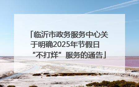 临沂市政务服务中心关于明确2025年节假日“不打烊”服务的通告