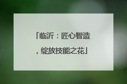 临沂：匠心智造，绽放技能之花