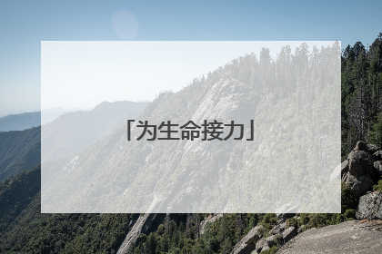 为生命接力
