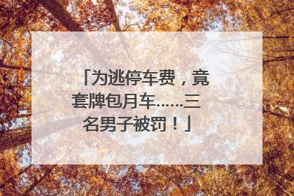 为逃停车费，竟套牌包月车……三名男子被罚！
