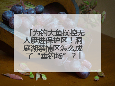 为钓大鱼操控无人艇进保护区！洞庭湖禁捕区怎么成了“垂钓场”？