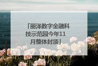 丽泽数字金融科技示范园今年11月整体封顶