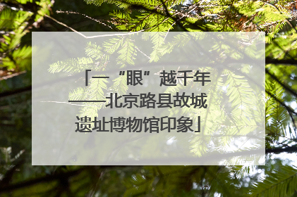 一“眼”越千年——北京路县故城遗址博物馆印象