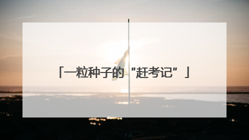 一粒种子的“赶考记”