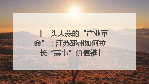 一头大蒜的“产业革命”：江苏邳州如何拉长“蒜事”价值链