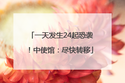 一天发生24起恐袭！中使馆：尽快转移