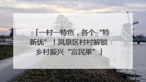 一村一特色，各个“特新优”！凤泉区村村解锁乡村振兴“富民果”