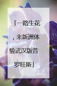一路生花，来新洲体验武汉版普罗旺斯