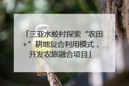 三亚水蛟村探索“农田+”耕地复合利用模式，开发农旅融合项目