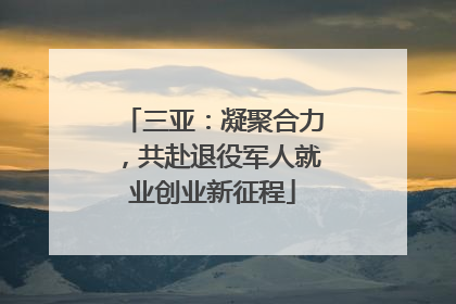 三亚：凝聚合力，共赴退役军人就业创业新征程