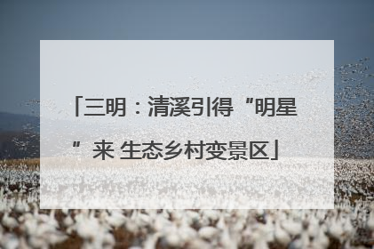 三明：清溪引得“明星”来 生态乡村变景区