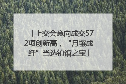 上交会意向成交572项创新高，“月壤成纤”当选镇馆之宝
