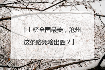 上榜全国最美，沧州这条路凭啥出圈？