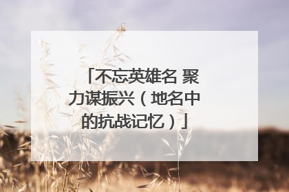 不忘英雄名 聚力谋振兴（地名中的抗战记忆）