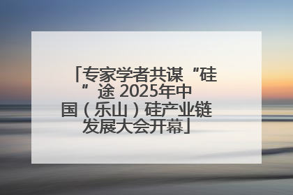 专家学者共谋“硅”途 2025年中国（乐山）硅产业链发展大会开幕