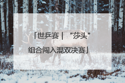 世乒赛｜“莎头”组合闯入混双决赛