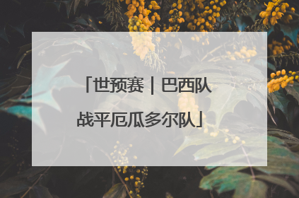 世预赛｜巴西队战平厄瓜多尔队